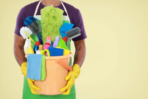 Deep cleaning process for a living room rug