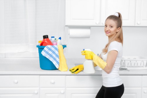 Assessment of carpet cleaning issue during complaint investigation