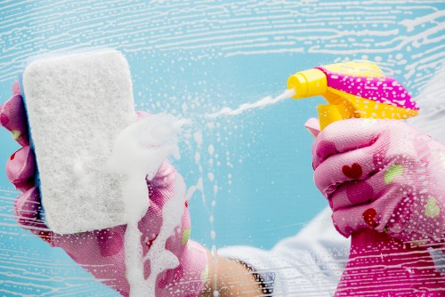 Enzyme treatment being applied for pet stain odour removal