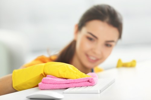 Professional upholstery stain cleaning in Ickenham
